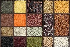 cereals and Pulses