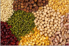 cereals and pulses 1