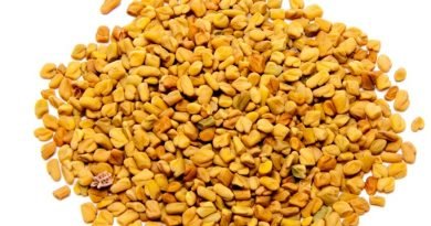 Fenugreek Seed