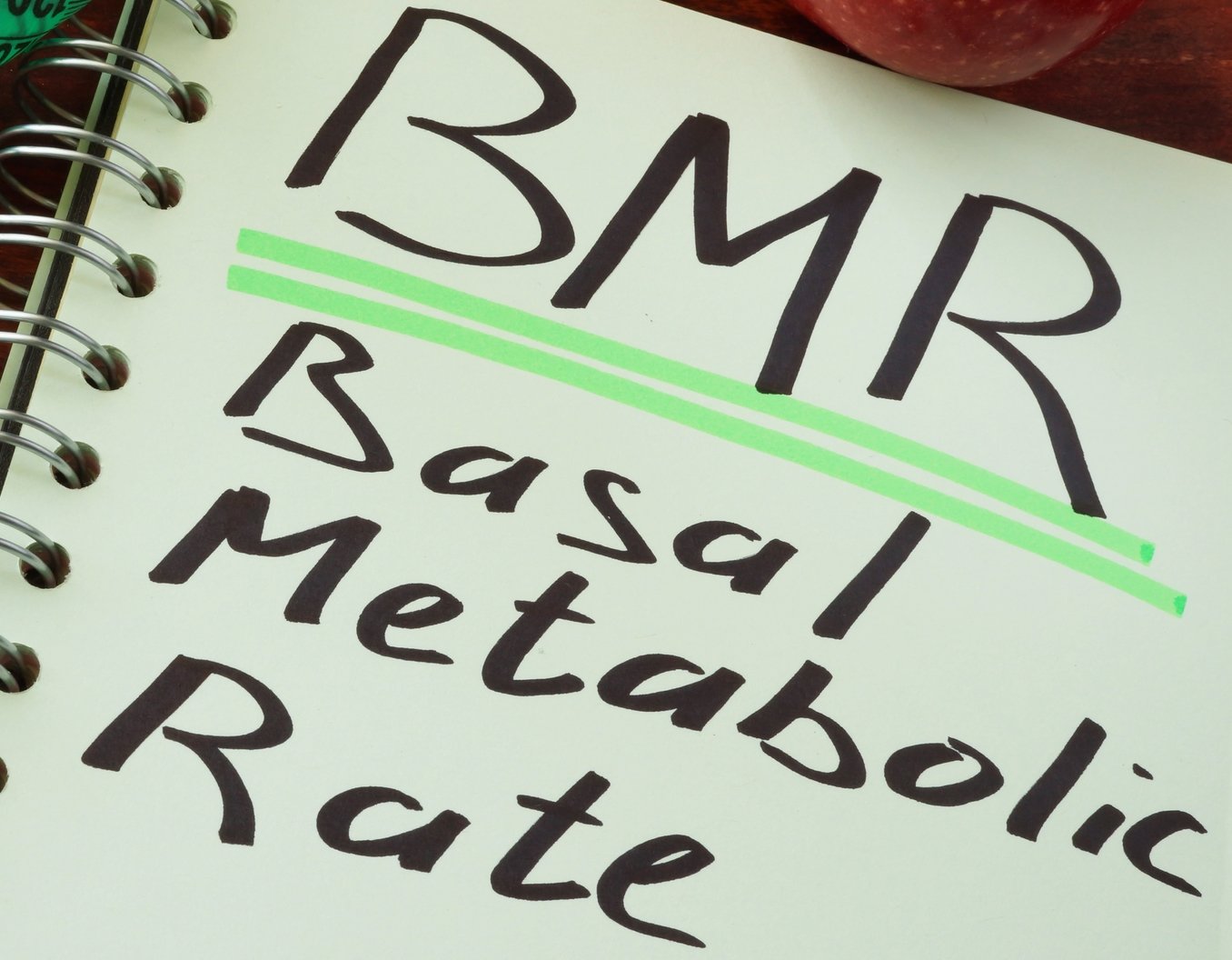 BMR- Basal Metabolic Rate